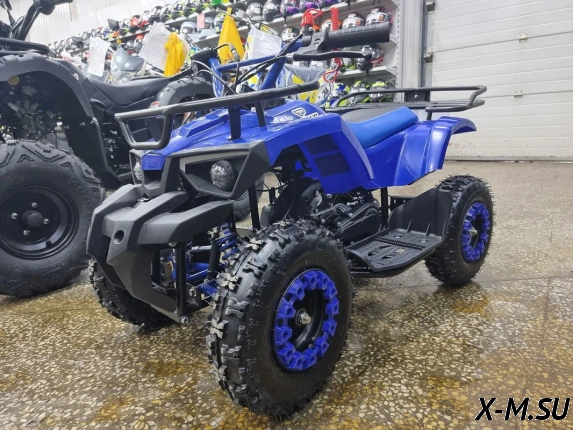 Квадроцикл PROMAX ATV MINI 2T 70CC р/с