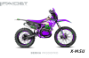 Кроссовый мотоцикл FAIDET BERNA PR300 FPS