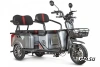 Трицикл ELTRECO Rutrike Экипаж