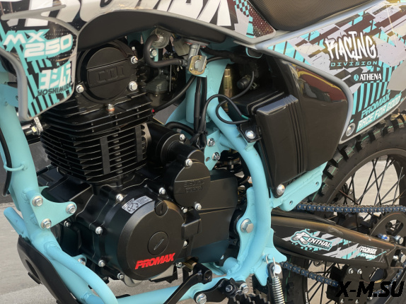 Кроссовый мотоцикл PROMAX MX250