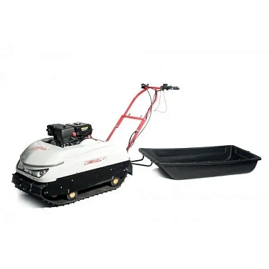 Мотобуксировщик Хортон HT9