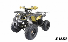 Квадроцикл ATV Termit TT Cross