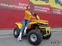 Квадроцикл IRBIS ATV125