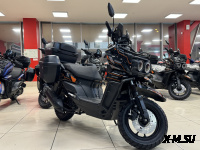 Скутер PROMAX STALKER ARMY EFI 240(49)